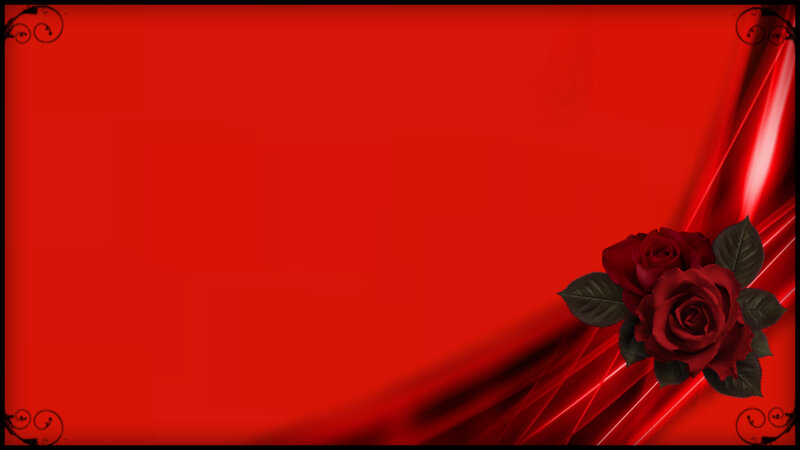 Red Roses on Red Background — Dramatic