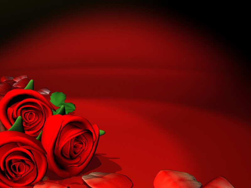 Red Roses on Red Background — Romantic, 3d Render