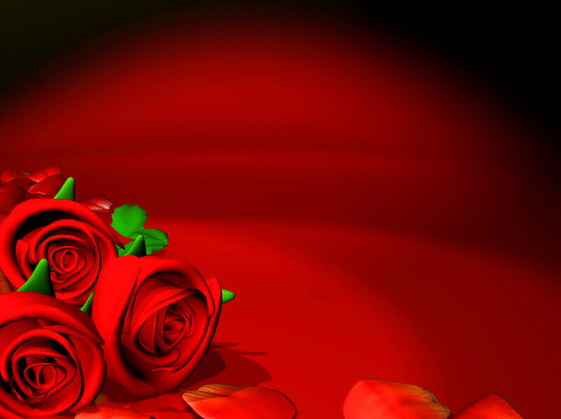 Red Roses on Red Background — Romantic