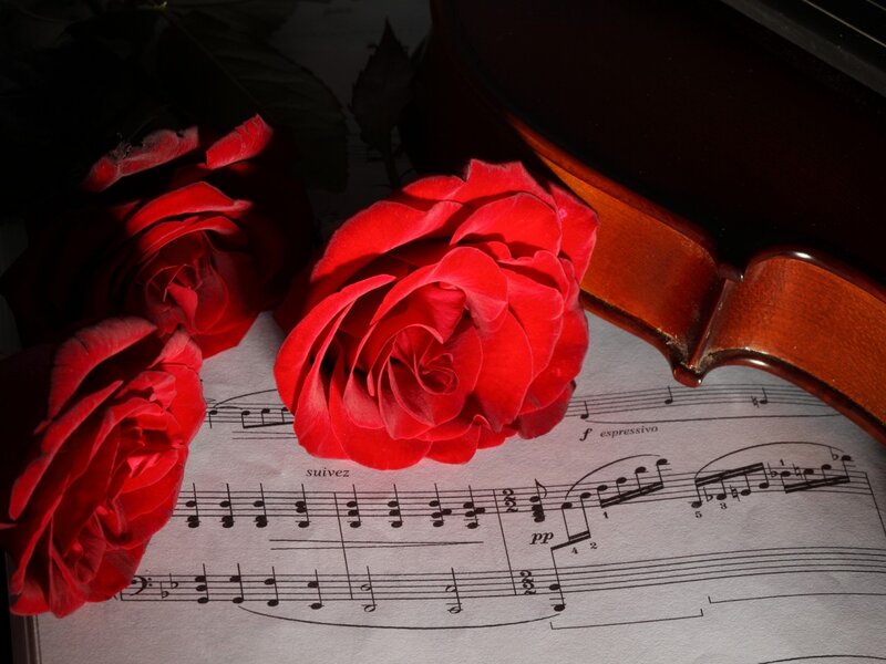 Red Roses on Sheet Music — Dramatic