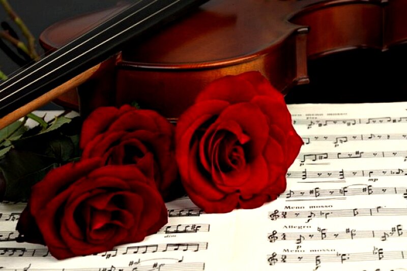 Red Roses on Sheet Music — Romantic, Photograph