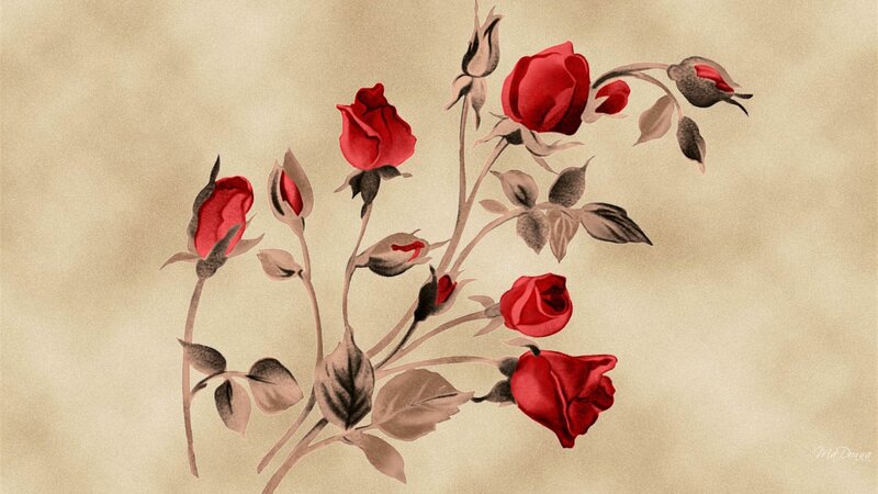Red Roses on Stems
