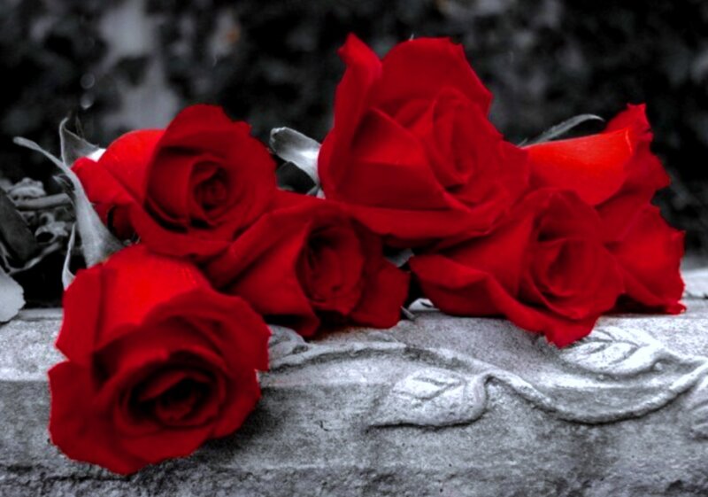 Red Roses on Stone — Somber, Photograph