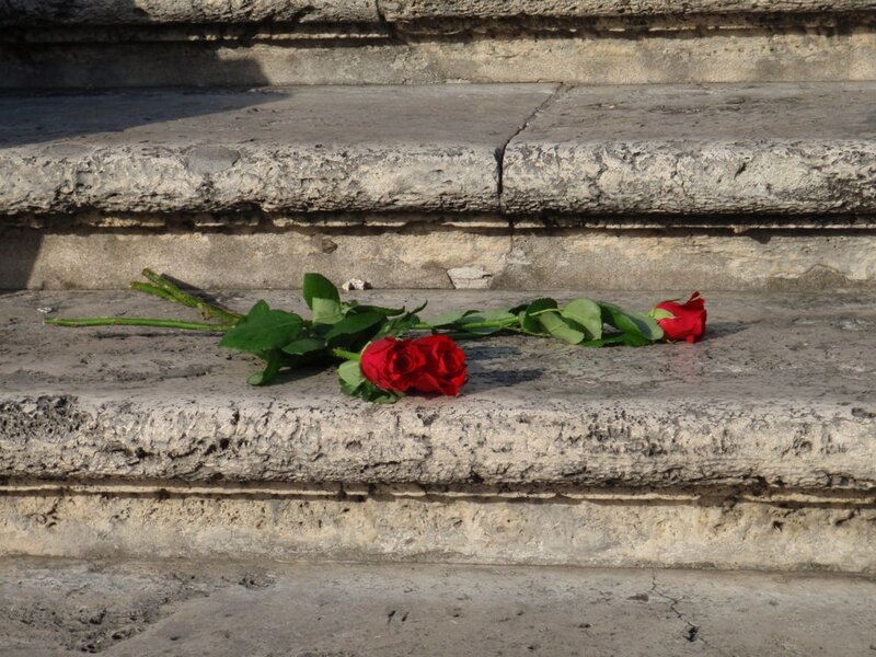 Red Roses on Stone Steps