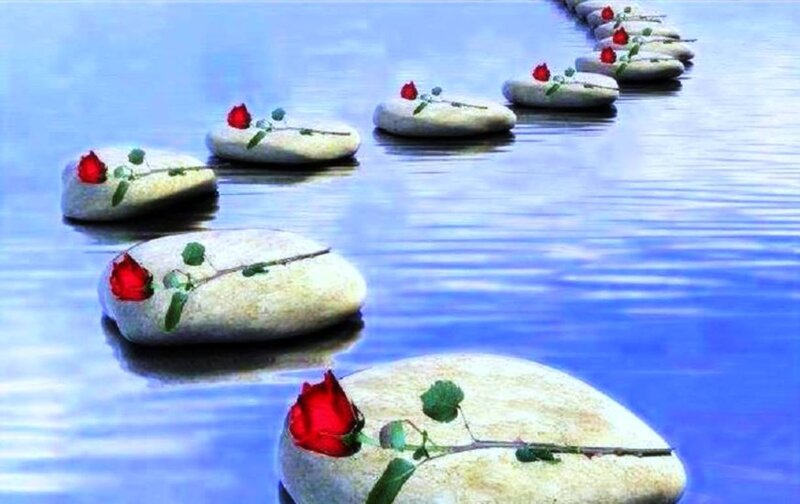 Red Roses on Stones