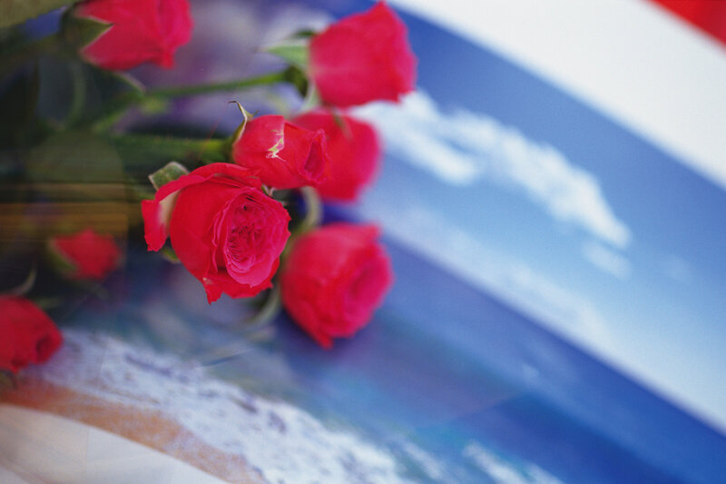 Red Roses on Surface — Calm