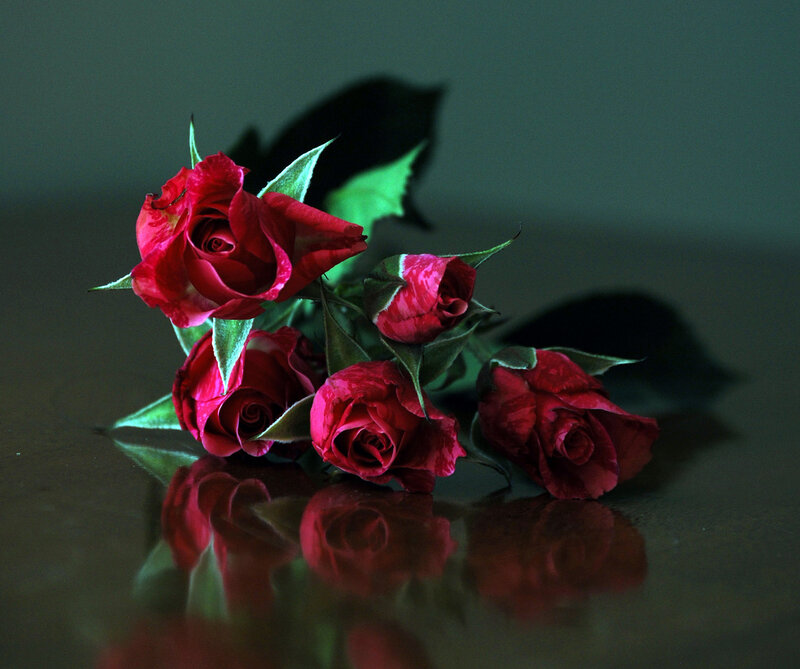 Red Roses on Surface