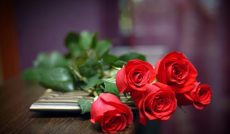 Red Roses on Table — Calm, Photograph, Book, Leaves