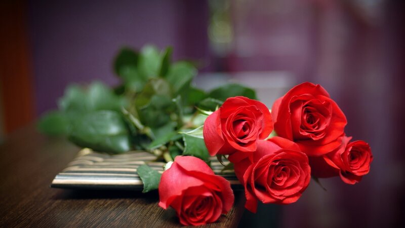 Red Roses on Table — Calm, Photograph, Book