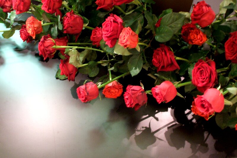 Red Roses on Table — Calm, Photograph, Flowers