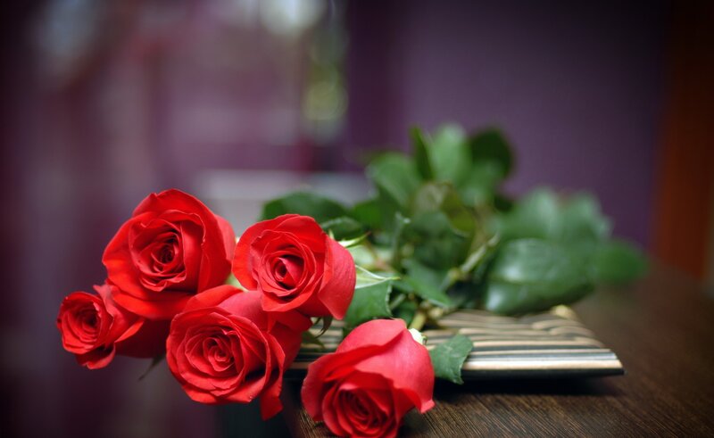 Red Roses on Table — Calm, Photograph, Green Leaves