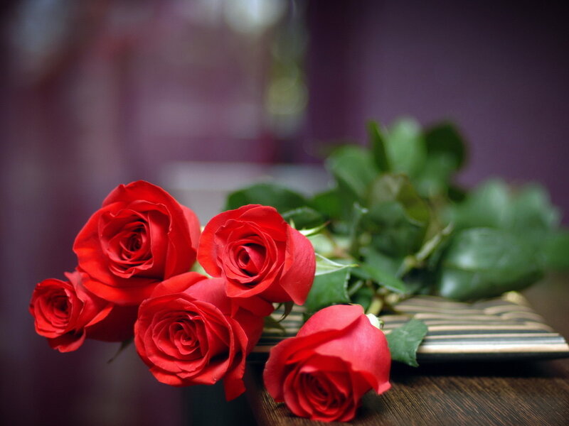 Red Roses on Table — Calm, Photograph, Green Leaves, Wooden Surface