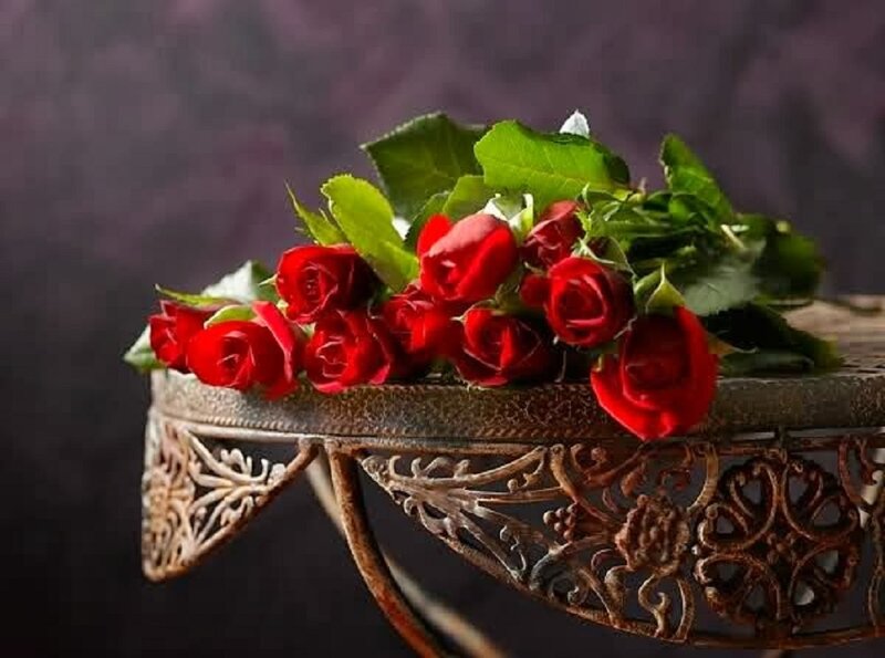 Red Roses on Table — Dramatic