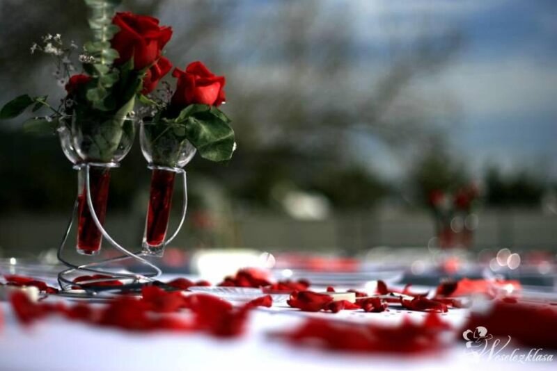 Red Roses on Table — Romantic, Afternoon