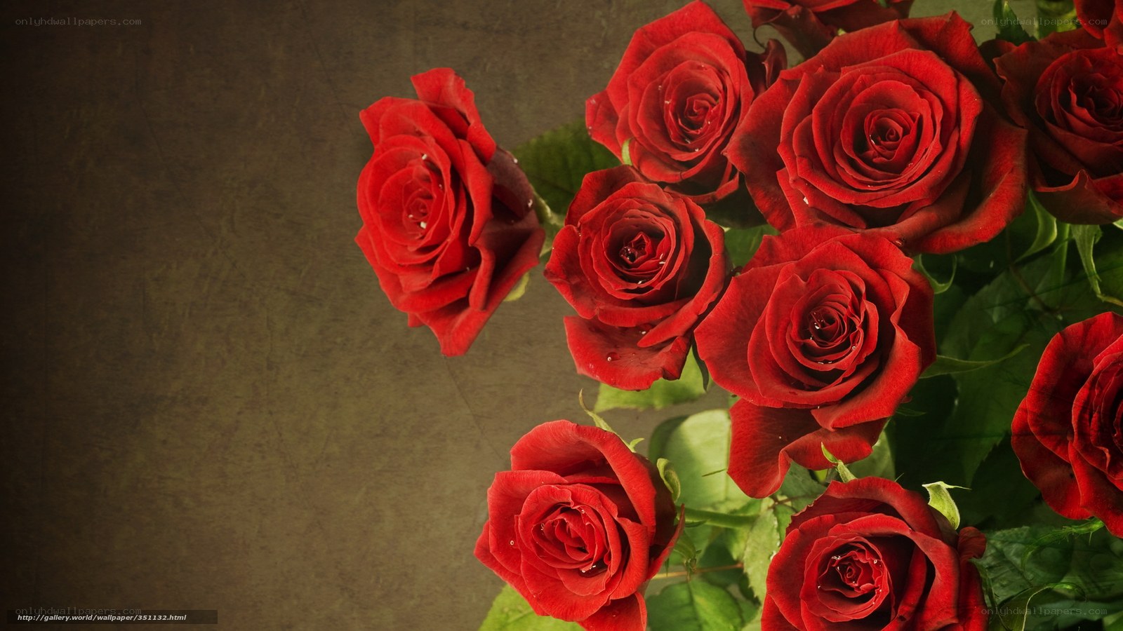Red roses on textured background