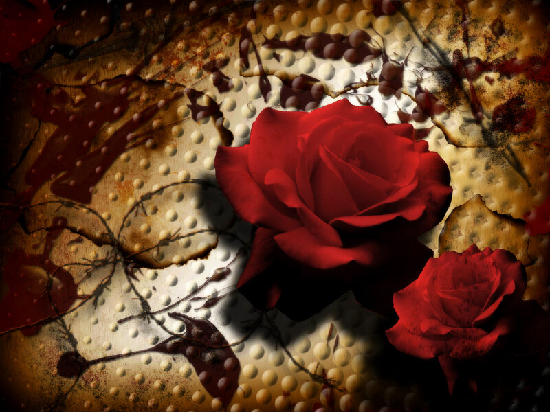 Red Roses on Textured Surface