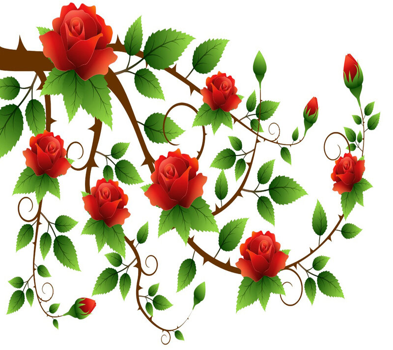 Red Roses on Vines — Calm