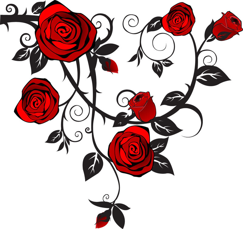 Red Roses on Vines