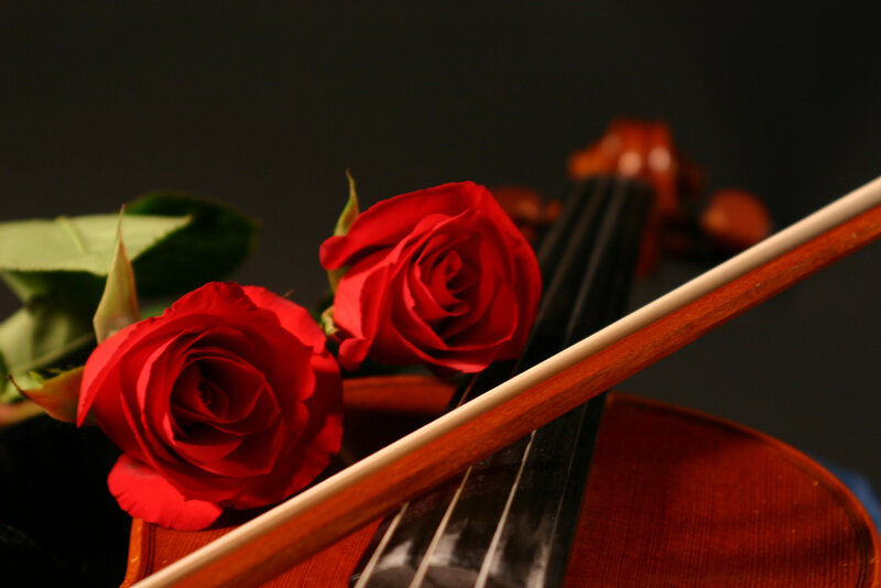 Red Roses on Violin