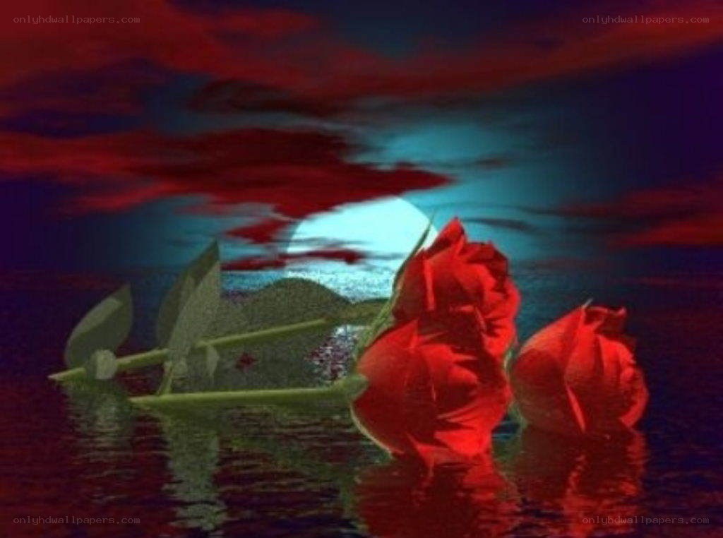 Red roses on water at night