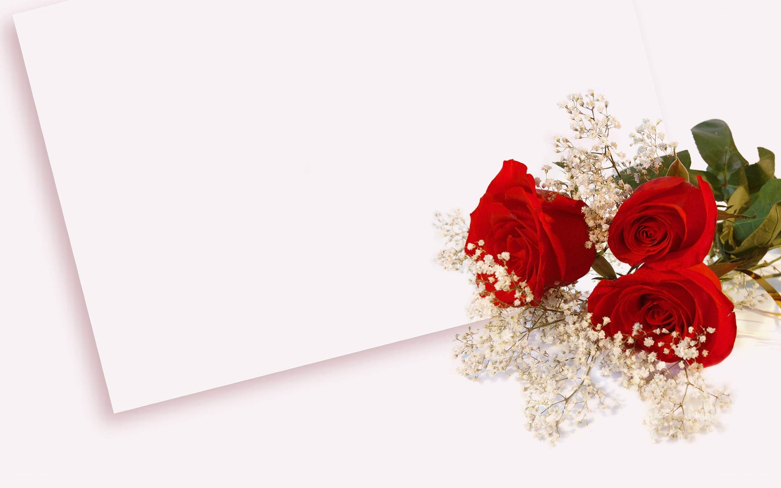 red roses on white card