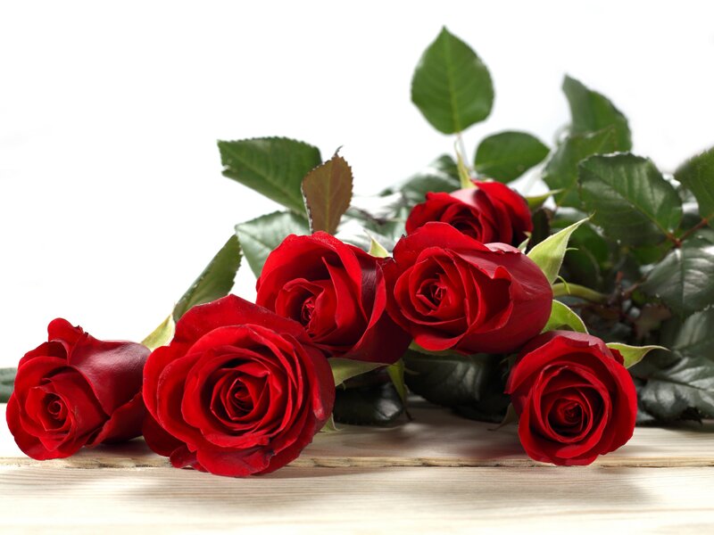 Red Roses on Wood — Calm, Photograph, Green Leaves