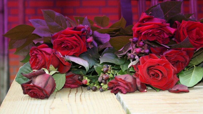 Red Roses on Wood — Calm, Photograph, Leaves, Berries