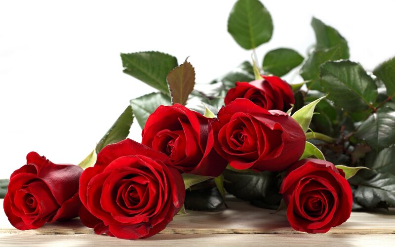 Red Roses on Wood — Calm, Photograph, Leaves