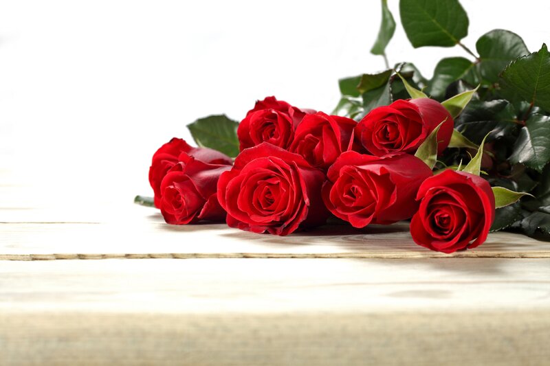 Red Roses on Wood — Calm, Photograph