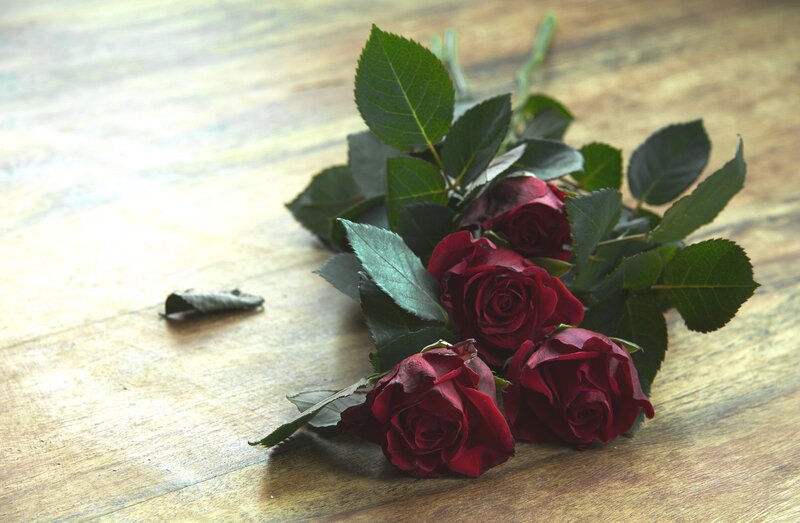 Red Roses on Wood — Calm, Photograph, Wood Surface