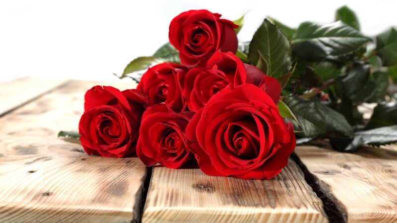 Red Roses on Wood — Calm, Photograph, Wooden Surface