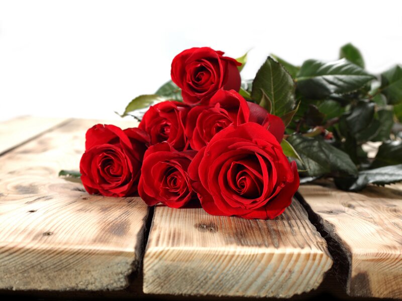 Red Roses on Wood — Calm