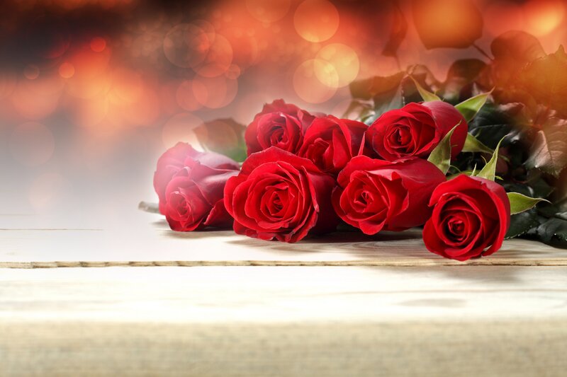Red Roses on Wood — Romantic