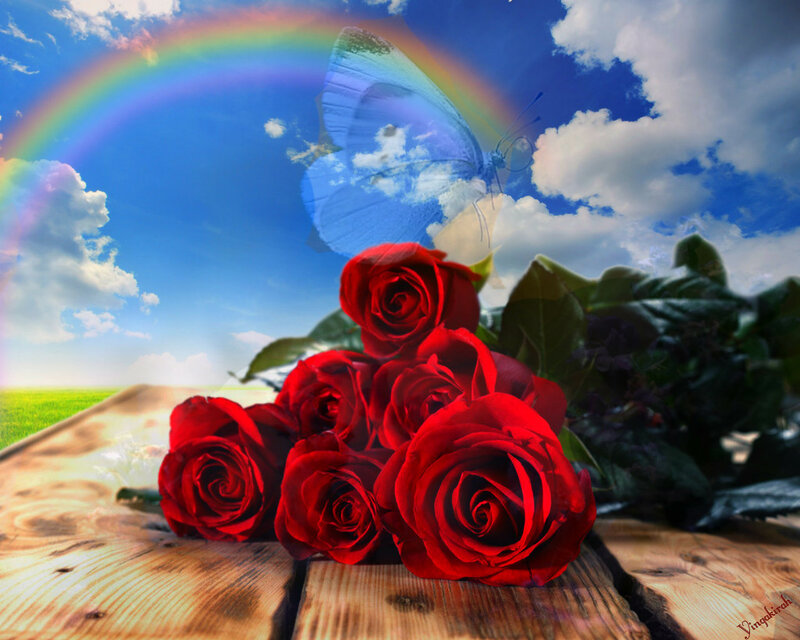 Red Roses on Wood — Serene, Afternoon