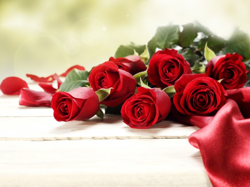 Red Roses on Wood — Serene, Morning