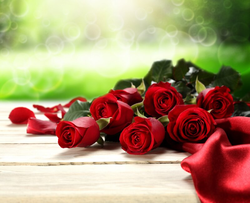 Red Roses on Wood — Serene