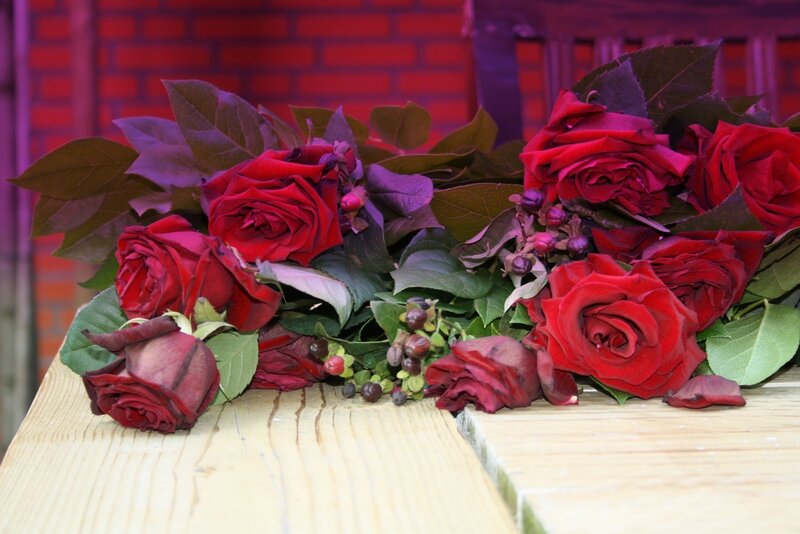 Red Roses on Wood