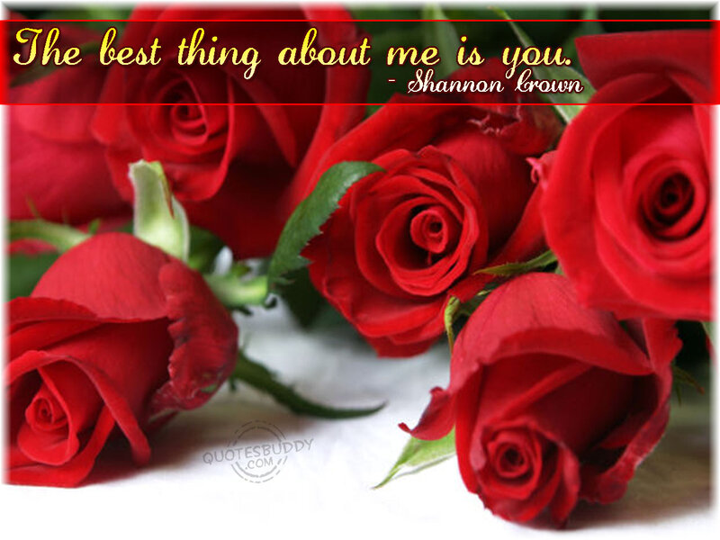 Red Roses — Romantic, Photograph, Text
