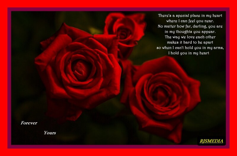 Red Roses — Romantic, Photograph