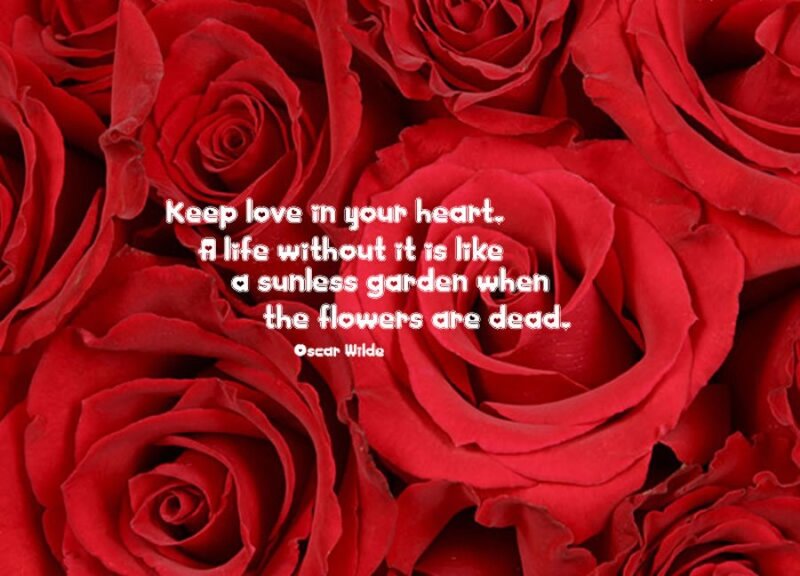 Red Roses