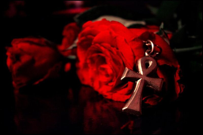 Red roses with ankh pendant