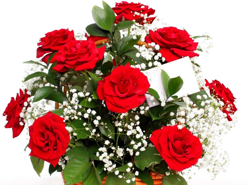 Red roses with baby's breath