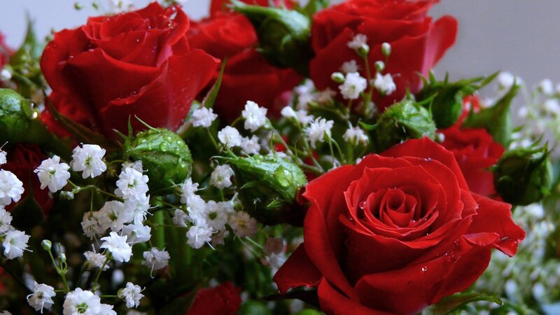red roses with baby's breath