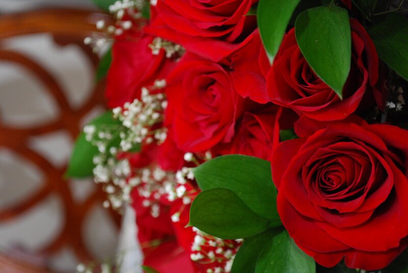 Red Roses with Baby's Breath — Calm, Photograph, Green Leaves