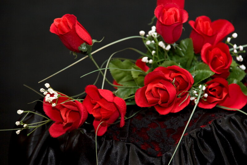 Red Roses with Baby's Breath — Dramatic, Photograph, Green Leaves