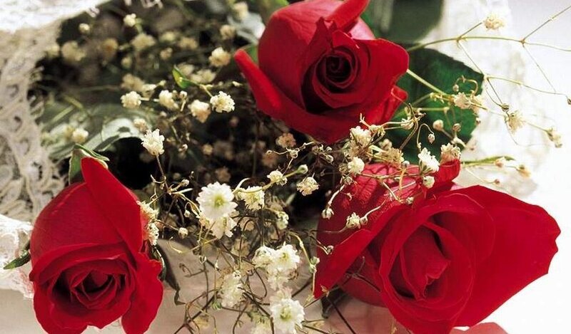 Red Roses with Baby's Breath — Romantic, Photograph