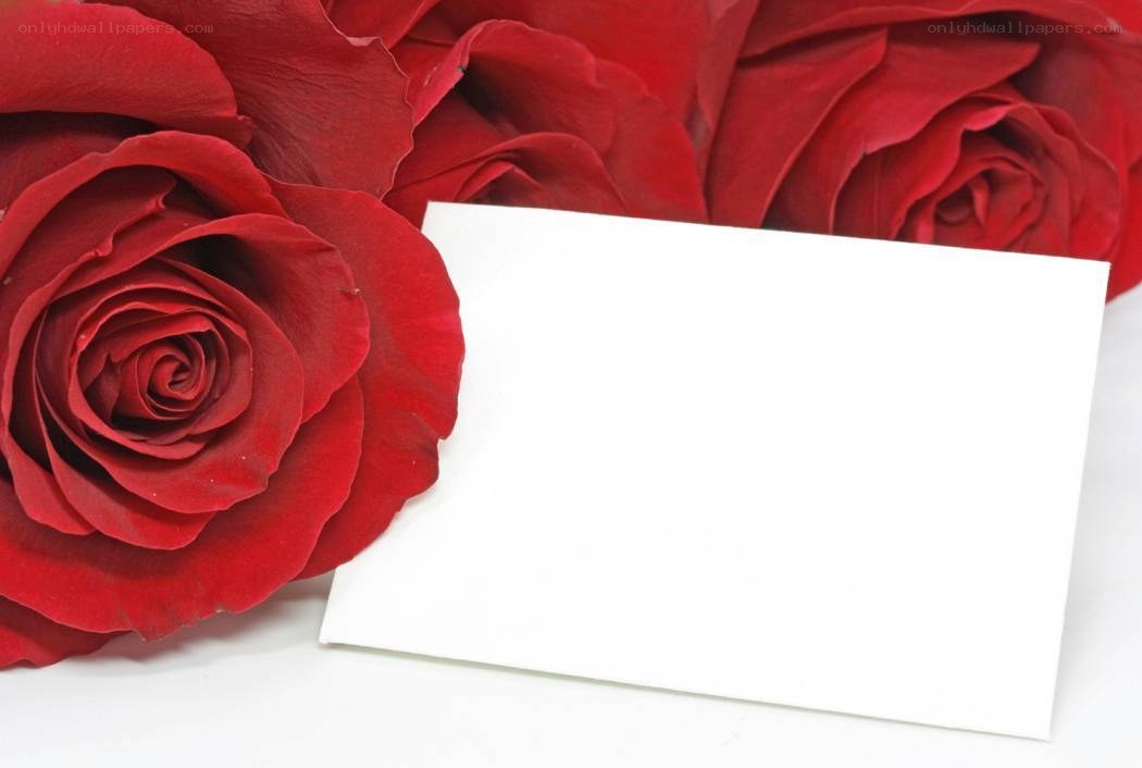 Red roses with blank card