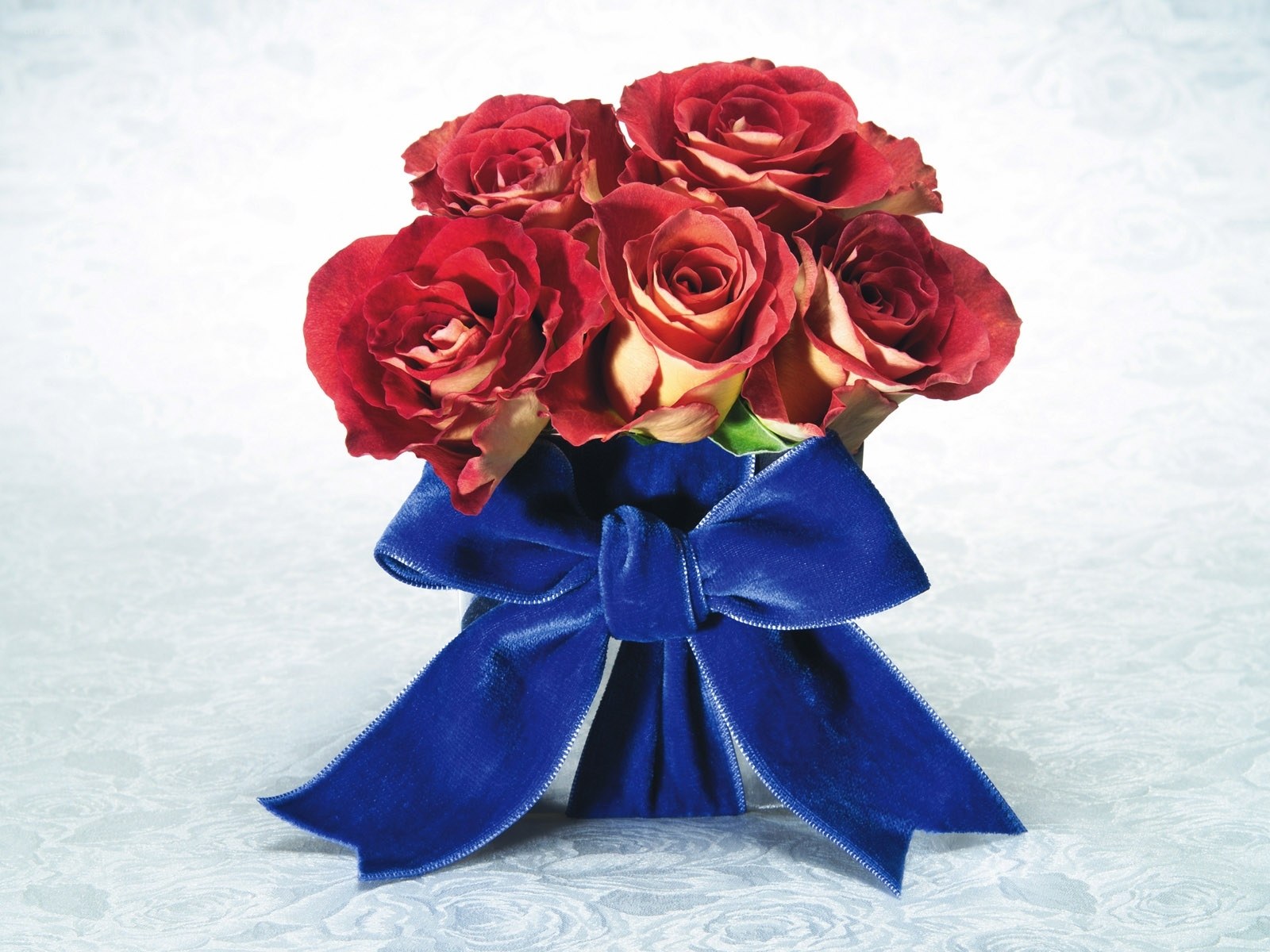 Red roses with blue bow