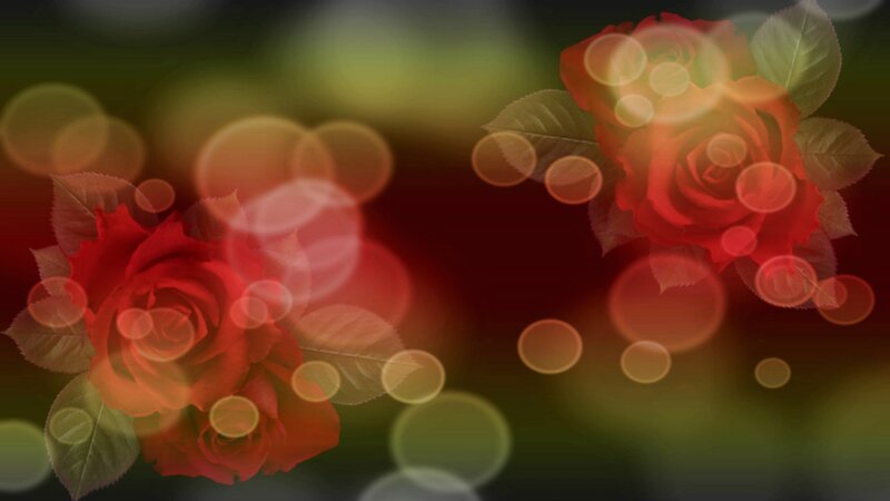 Red Roses with Bokeh