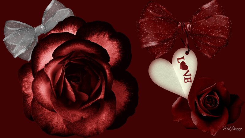 Red Roses with Bows